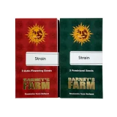 GMO Cookies fem (Barney's Farm), Нидерланды