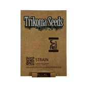 Al Tiro Auto autofem (Trikoma Seeds), Испания