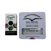 Auto Lemon Kix autofem (Dutch Passion), Нидерланды