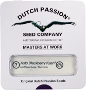 Auto Blackberry Kush autofem (Dutch Passion), Нидерланды