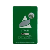 Auto New York City fem (Pyramid Seeds), Испания