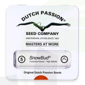 Snow Bud fem (Dutch Passion), Нидерланды