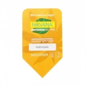 Hawaii Maui Waui Automatic autofem (Nirvana), Нидерланды