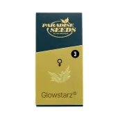 Glowstarz fem (Paradise Seeds), Нидерланды
